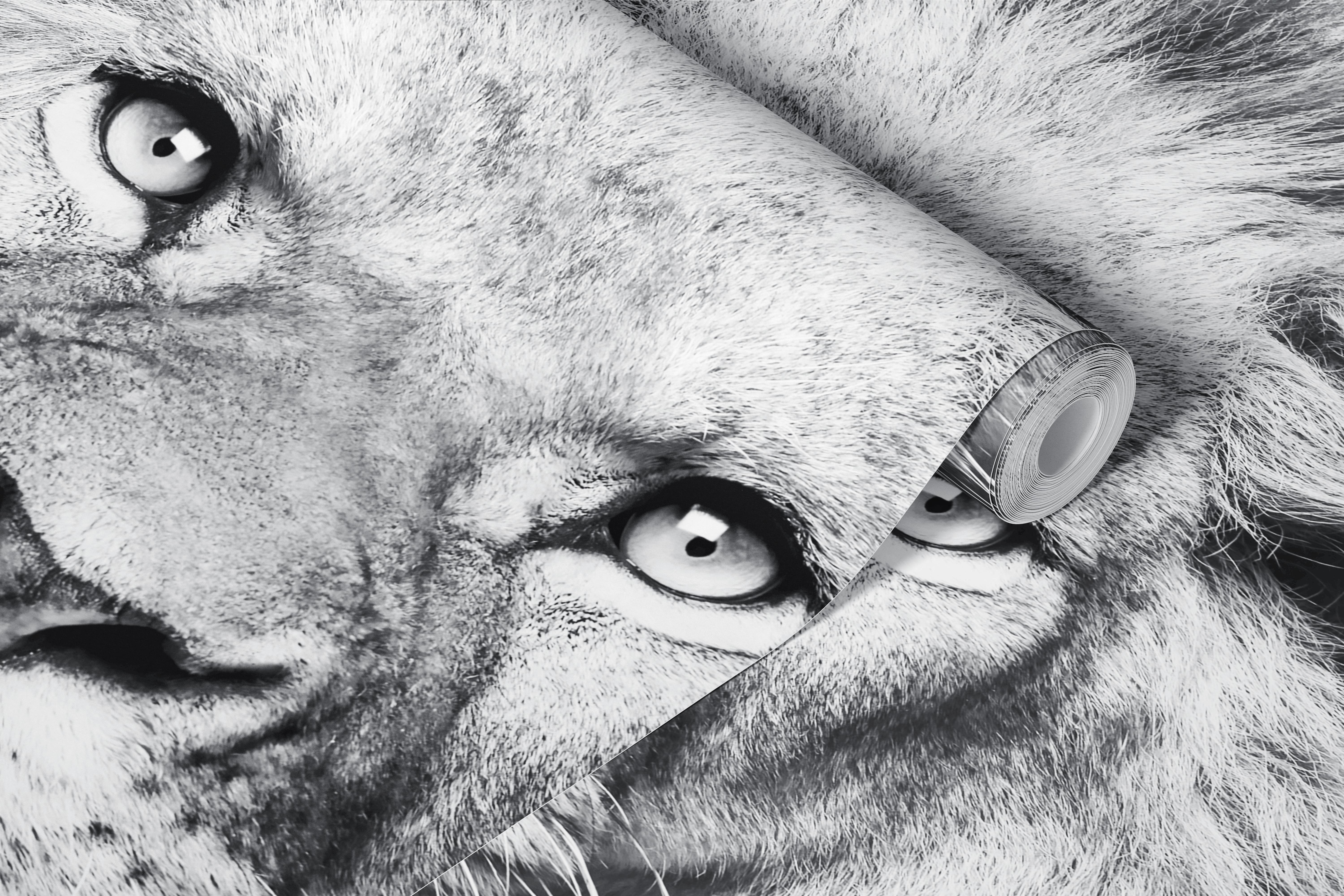 Sort og hvid Lion in BW-tapet i et værelse