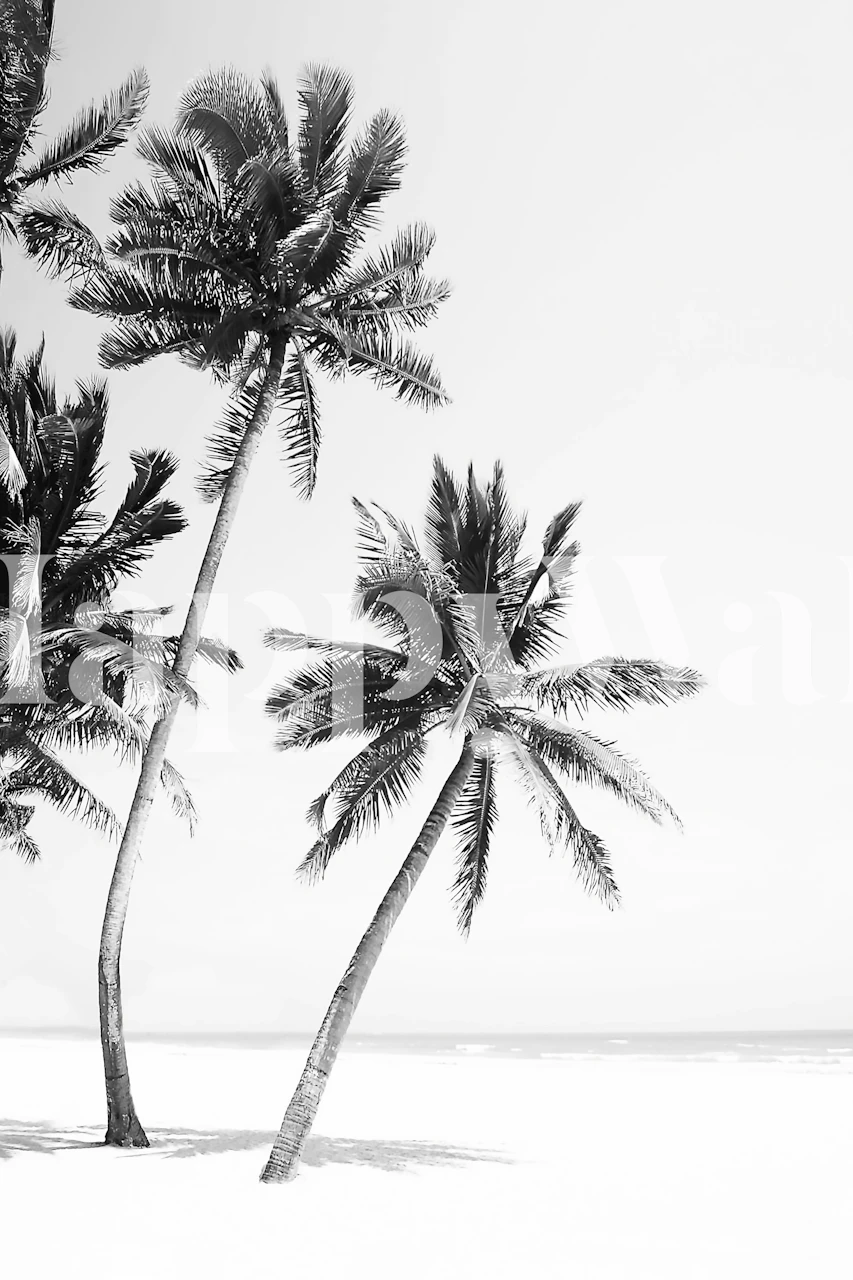 Island BW wallpaper with palm trees