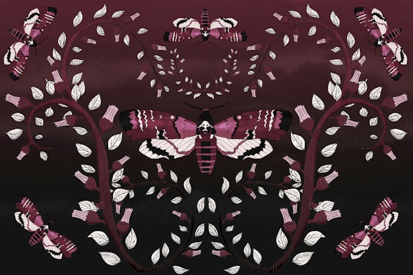 Mystic Moth Twilight