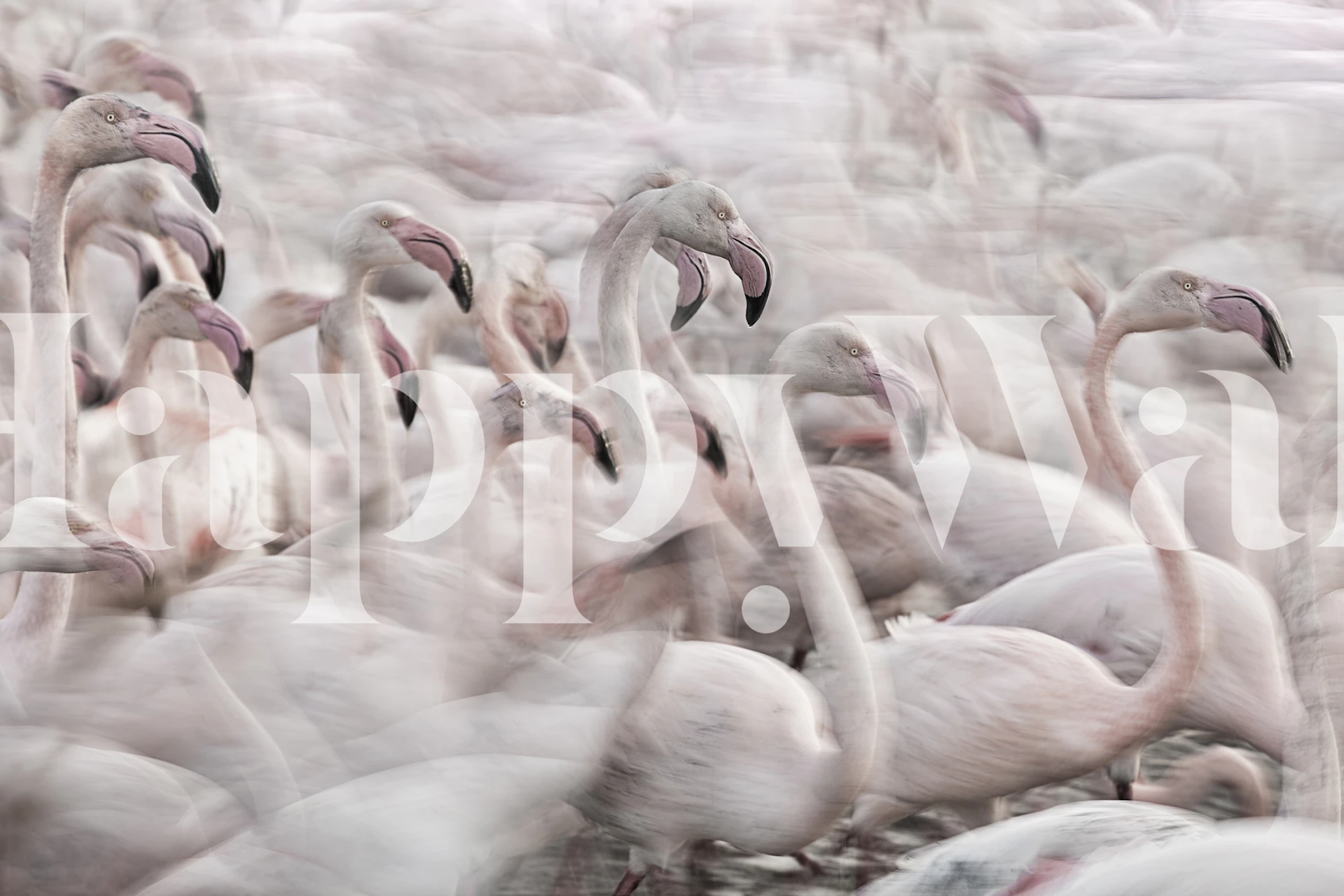 Flamingo-aiheinen seinämaalaus pehmeillä vaaleanpunaisilla sävyillä ja unenomaisella tunnelmalla