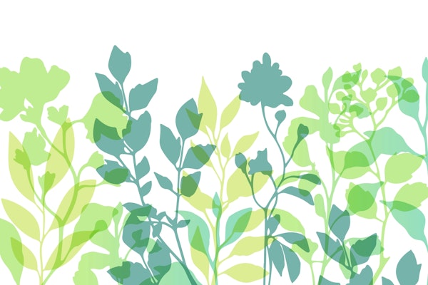 Layered Leaves Fresh Spring Vibes