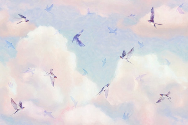 Swallows in the Summer Sky