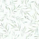 Delicate grey green watercolor foliage