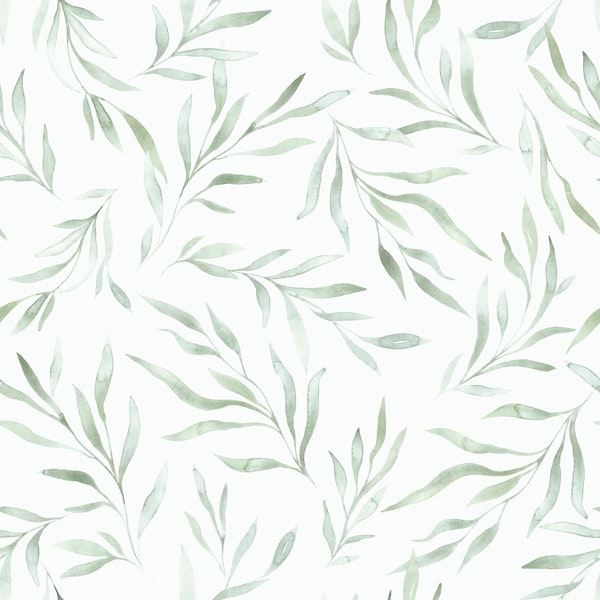 Delicate grey green watercolor foliage