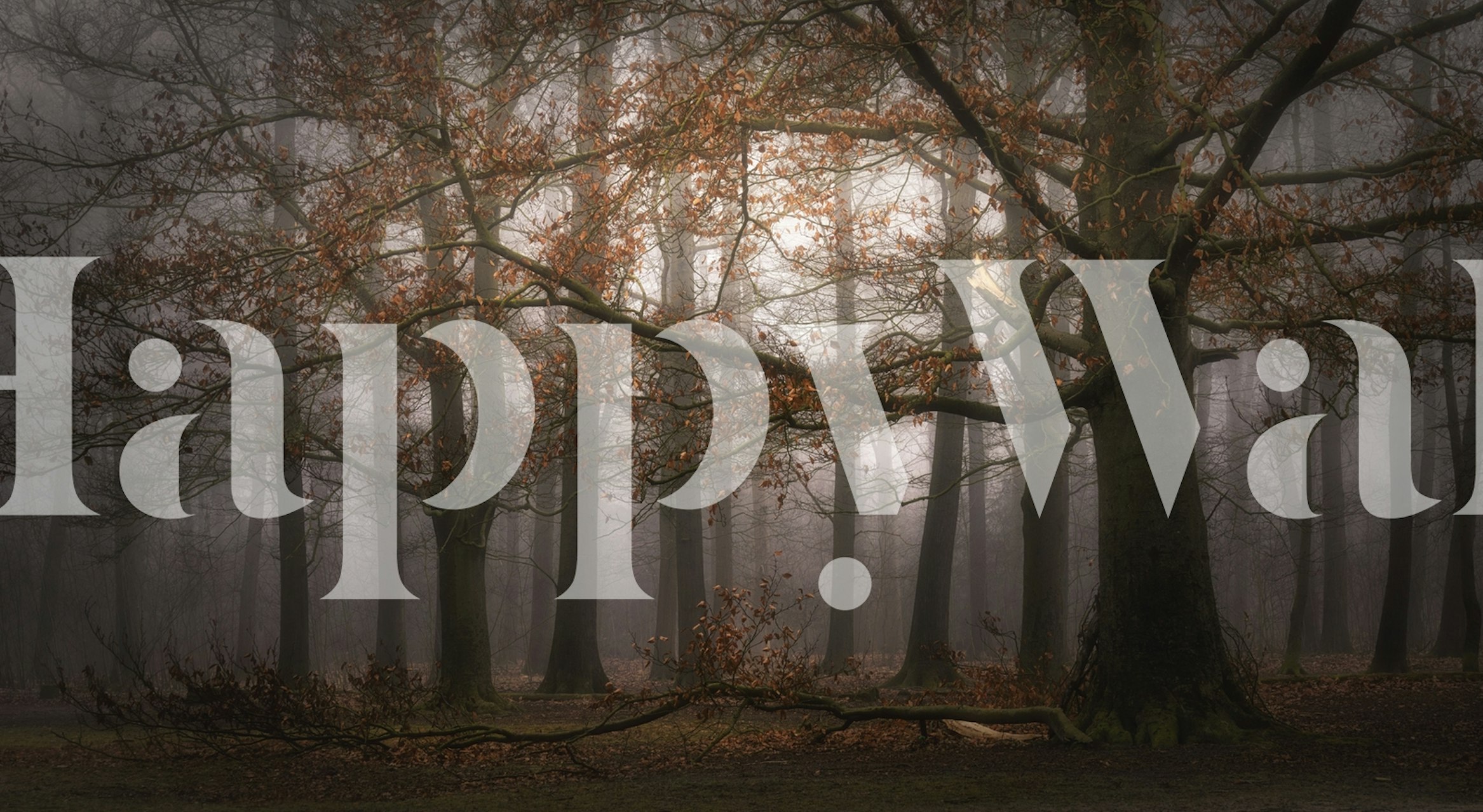 Foggy memory wallpaper in a room