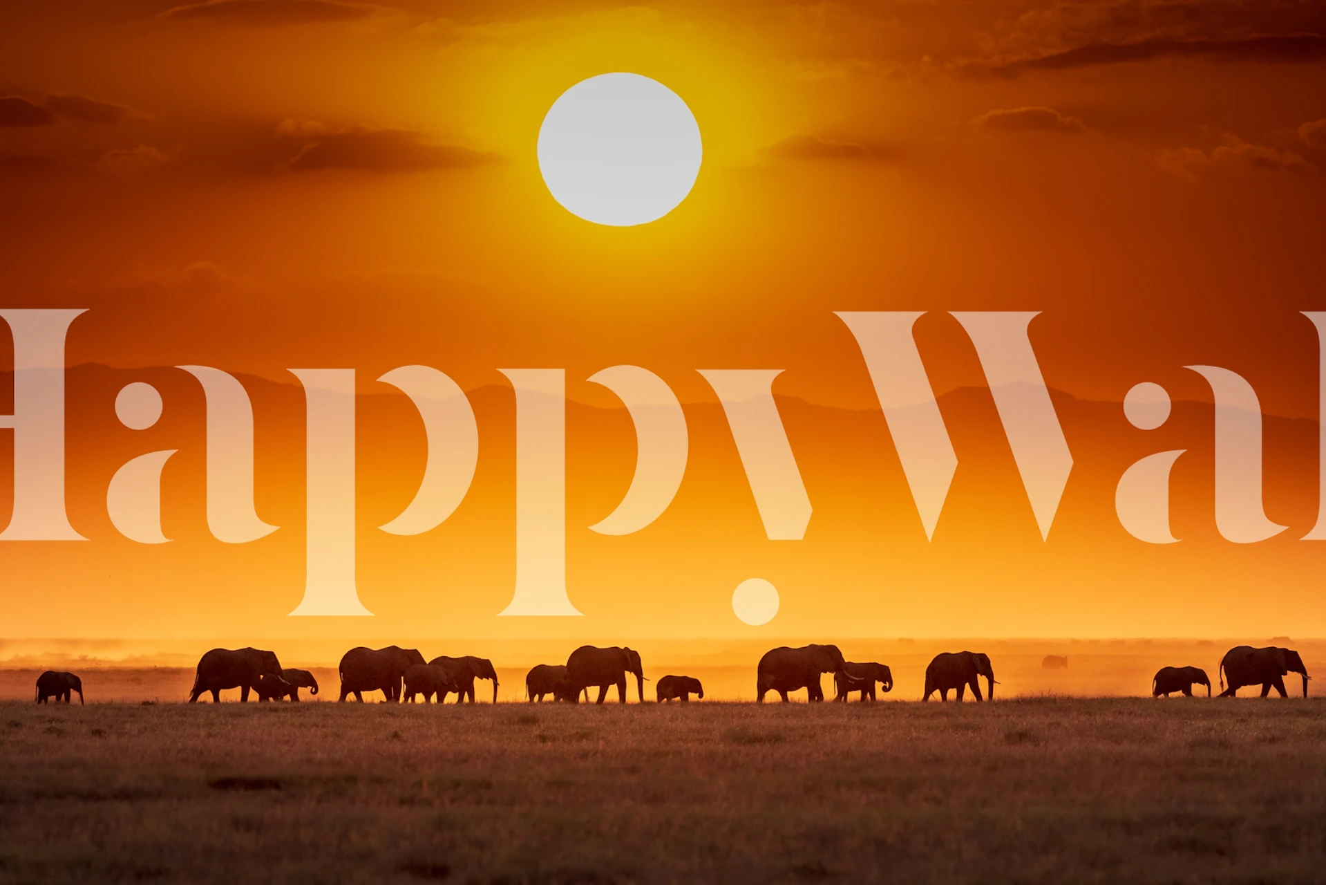 Silhouettes of elephants against a vibrant orange sunset wallpaper