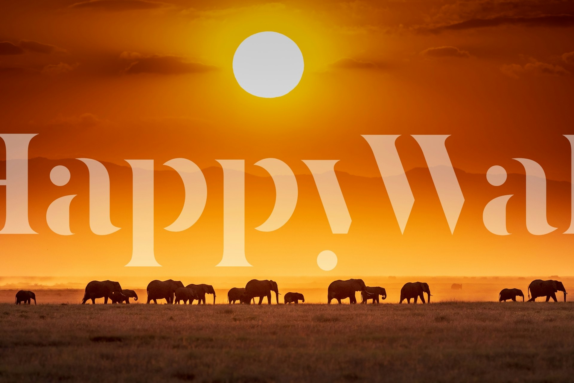 Silhouettes of elephants against a vibrant orange sunset wallpaper