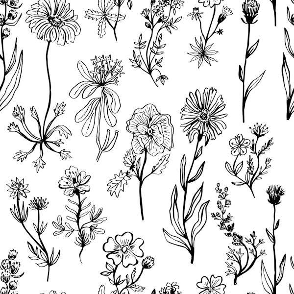 Botanical Black White Wildflowers - large