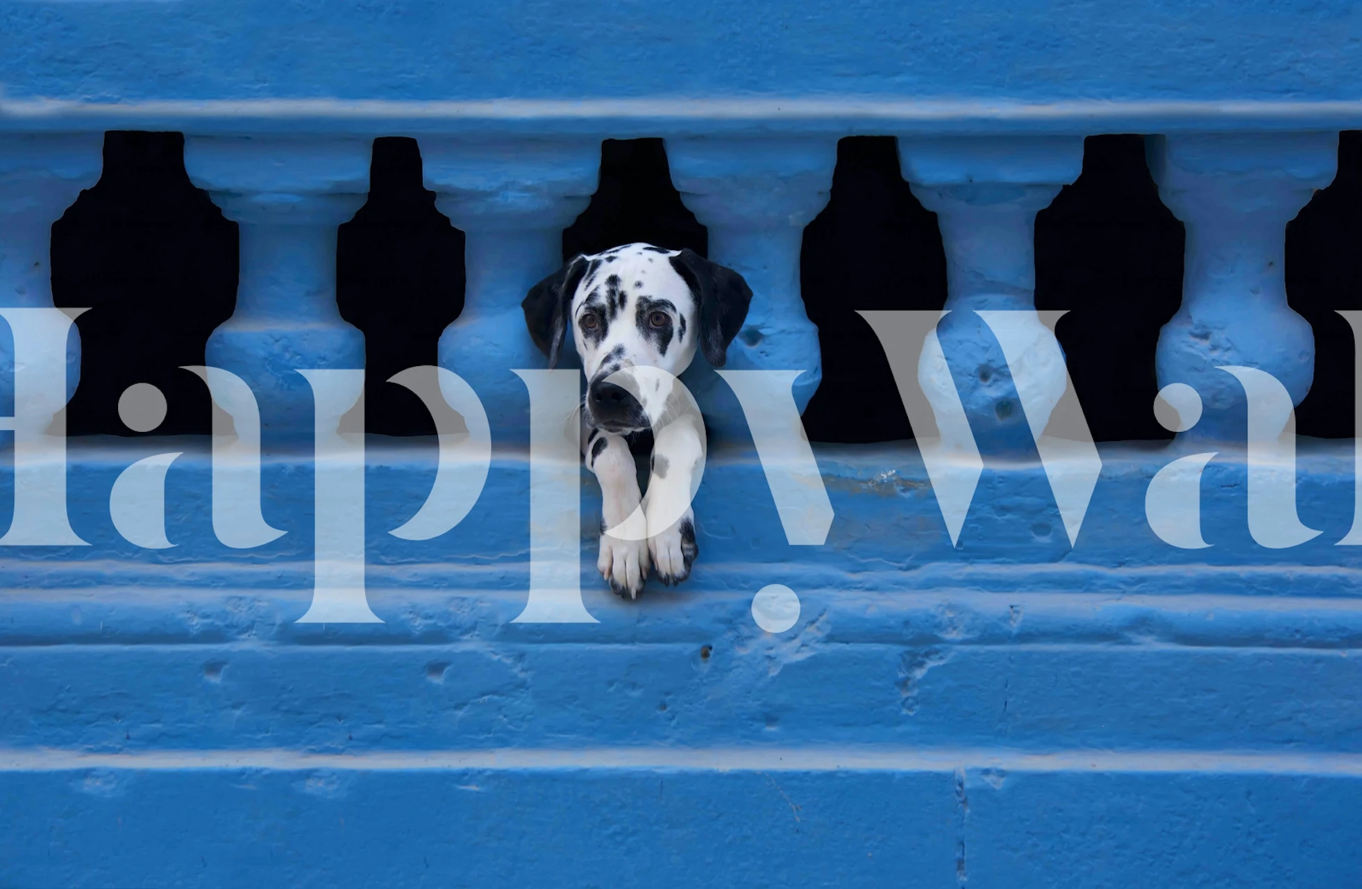 Dog peeking through a blue wall mural wallpaper