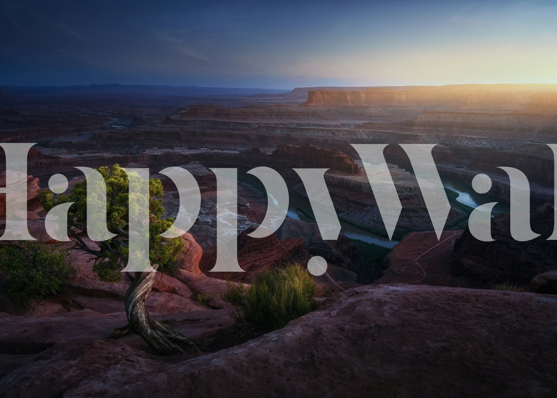 Deadhorse land wallpaper in a room setting