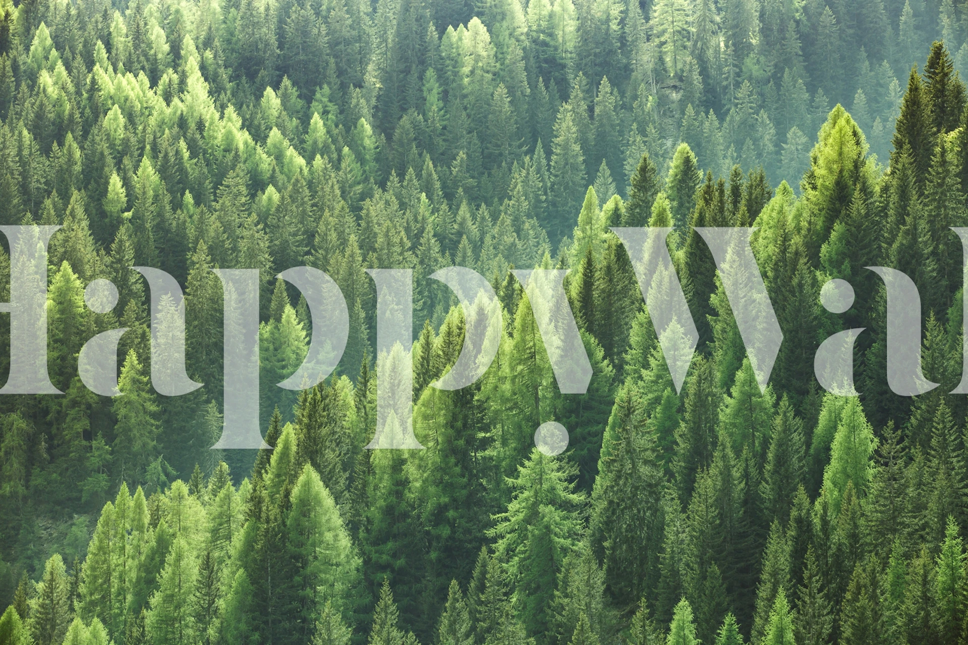 Wallpaper featuring trees from above in a room