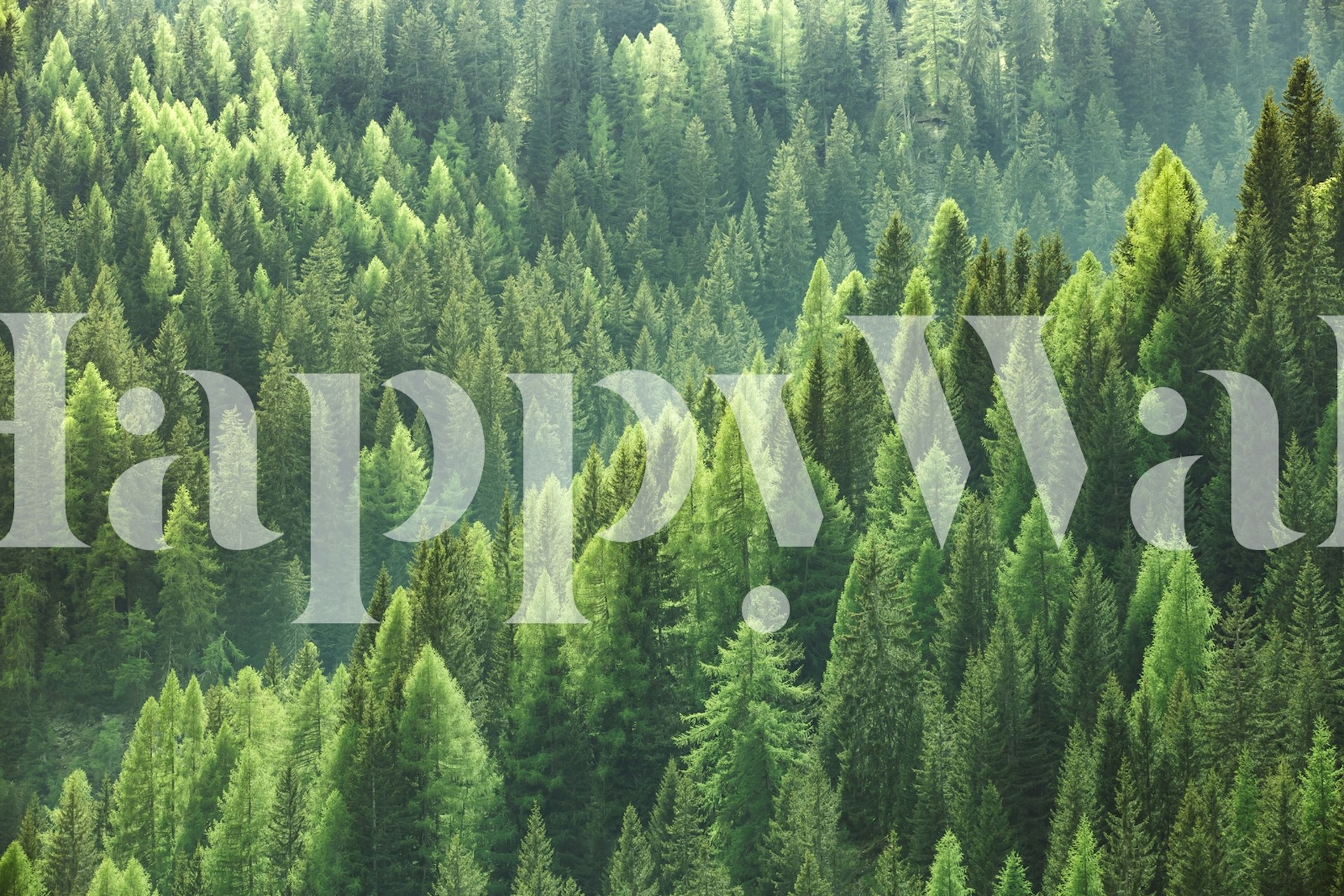 Wallpaper featuring trees from above in a room