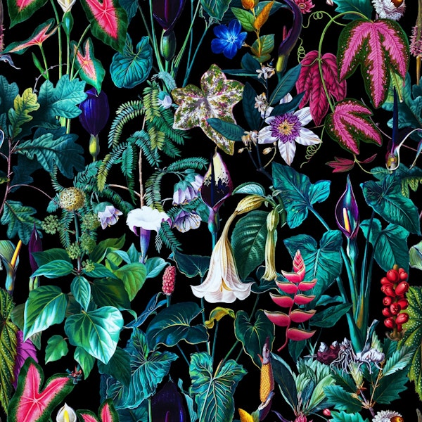 Tropical Magic Forest VI