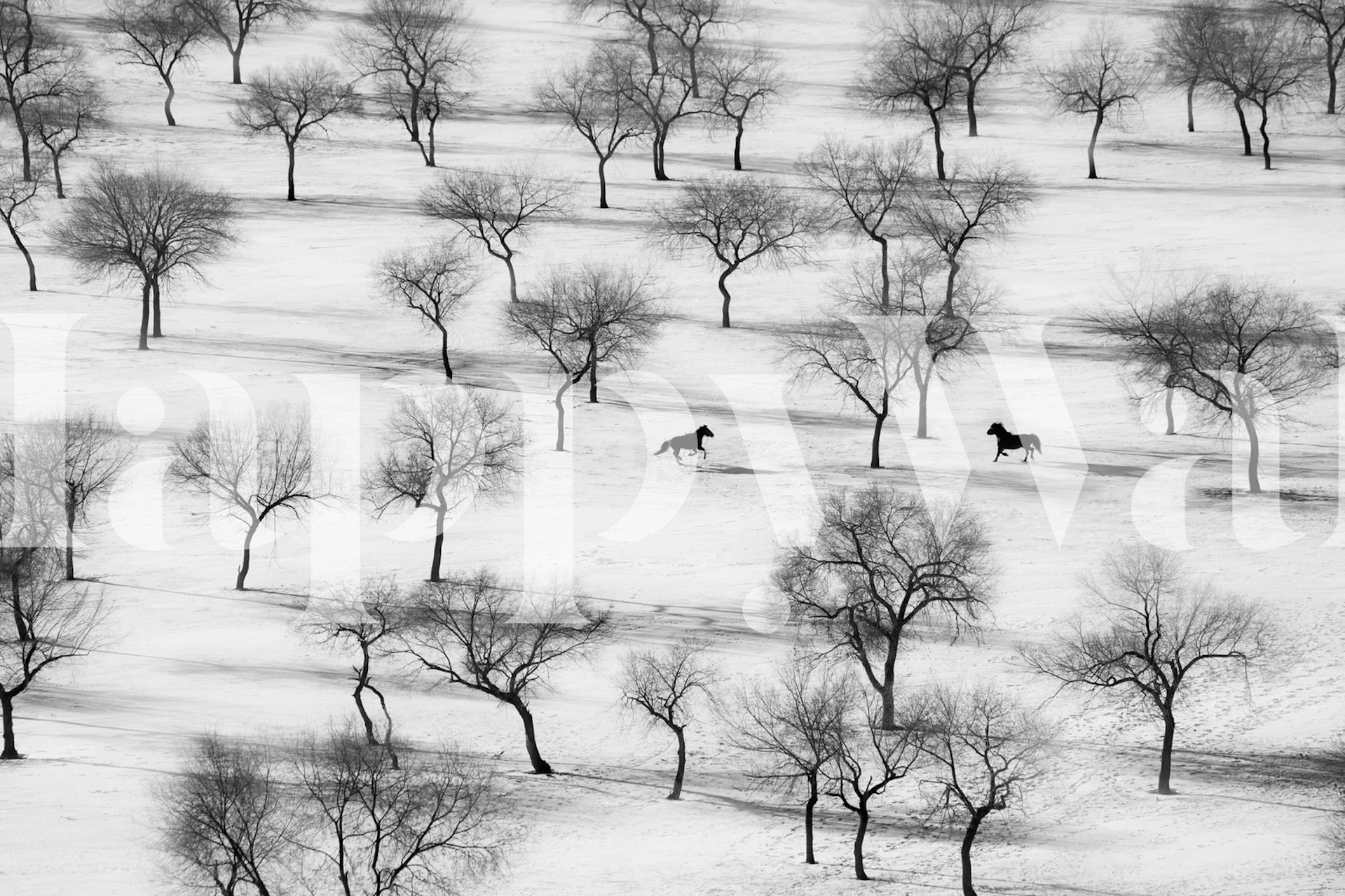 Wallpaper featuring horses in a winter landscape