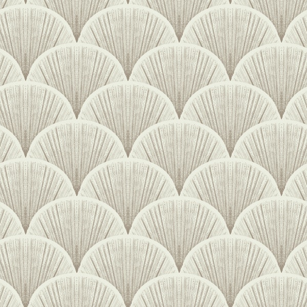 Glamorous Scallop Shells in beige