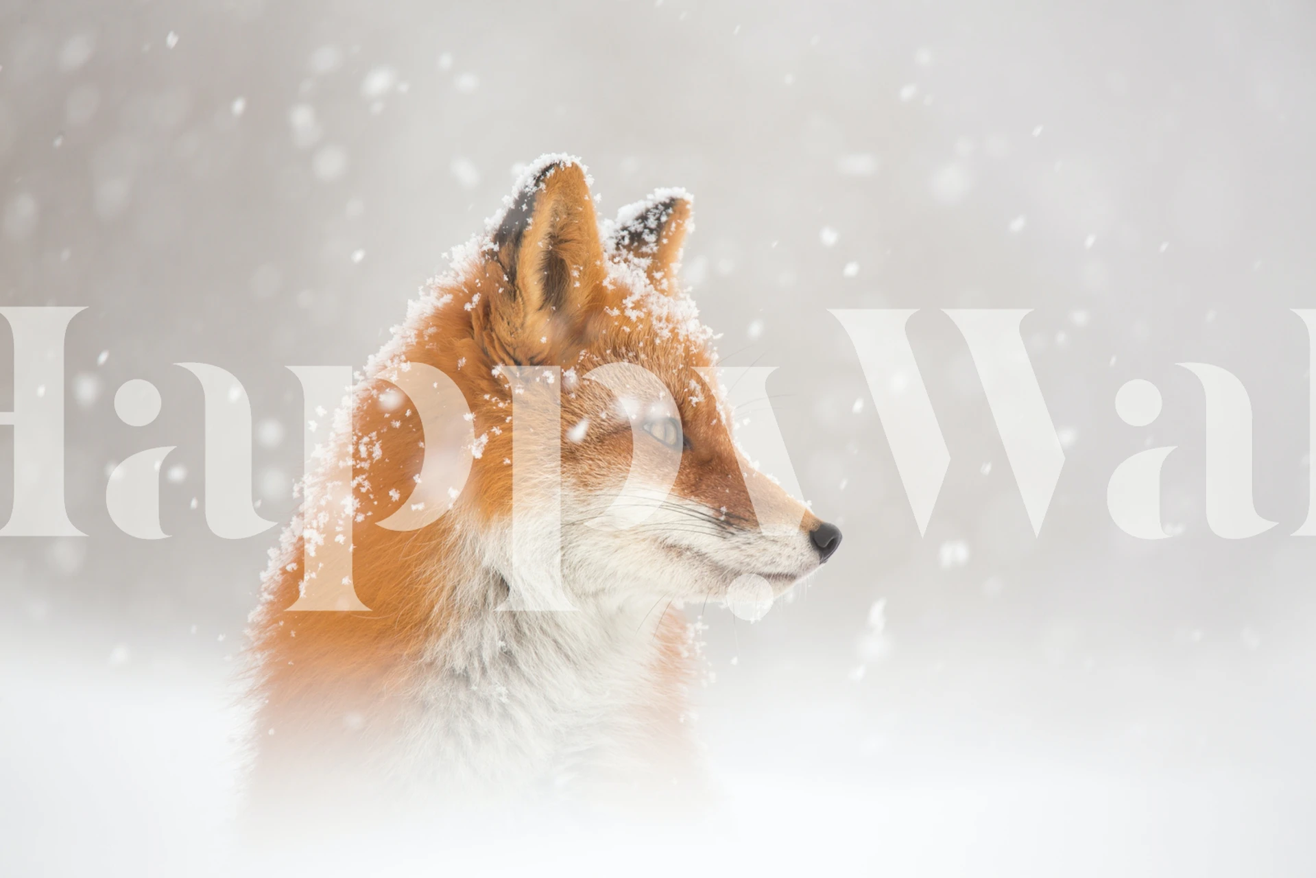 Snowy fox profile in a winter landscape wallpaper