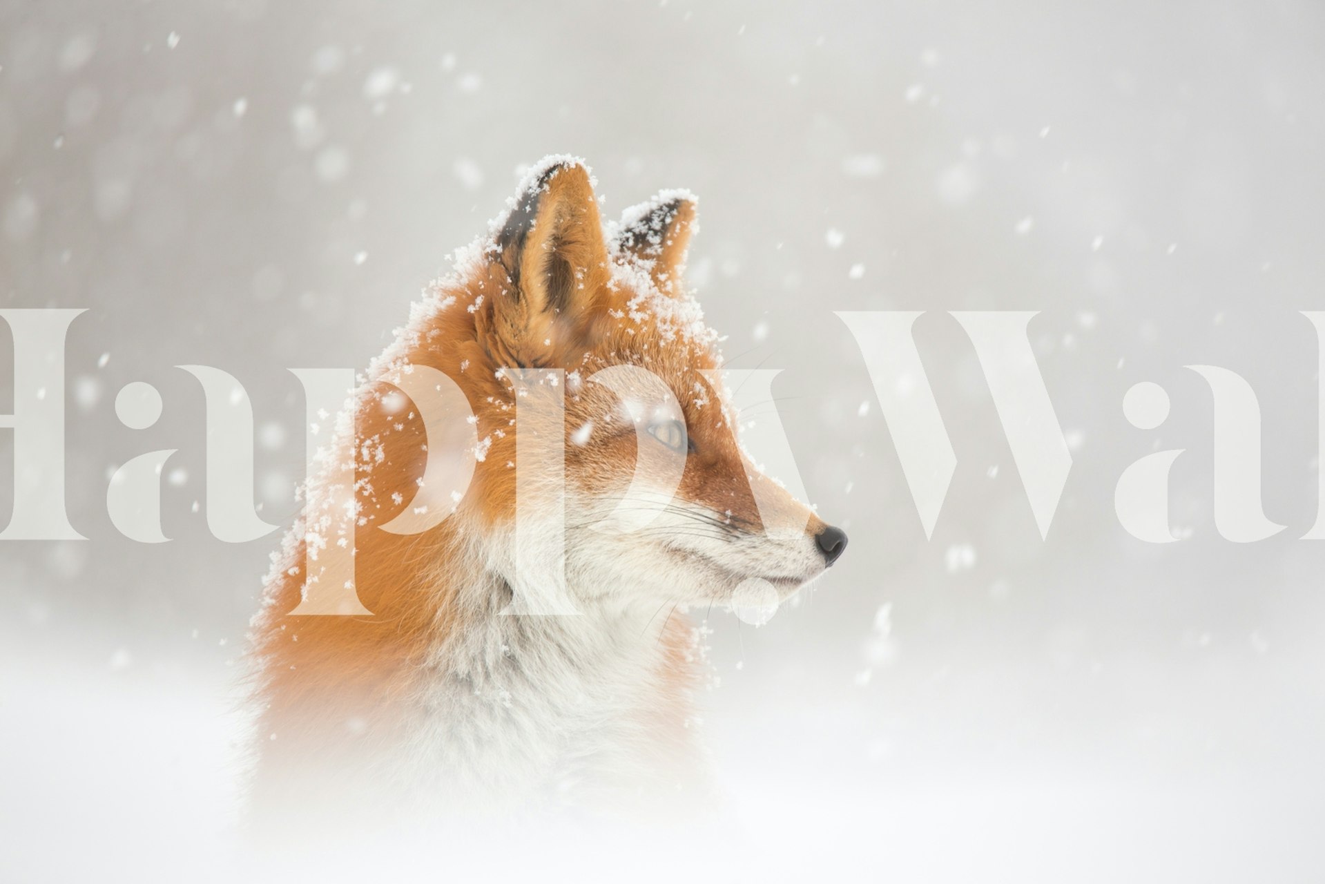 Snowy fox profile in a winter landscape wallpaper