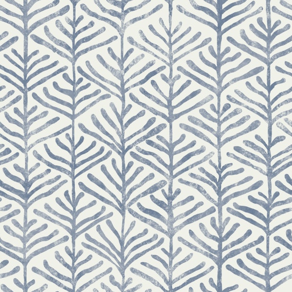 Minimal Coral Sea illustration