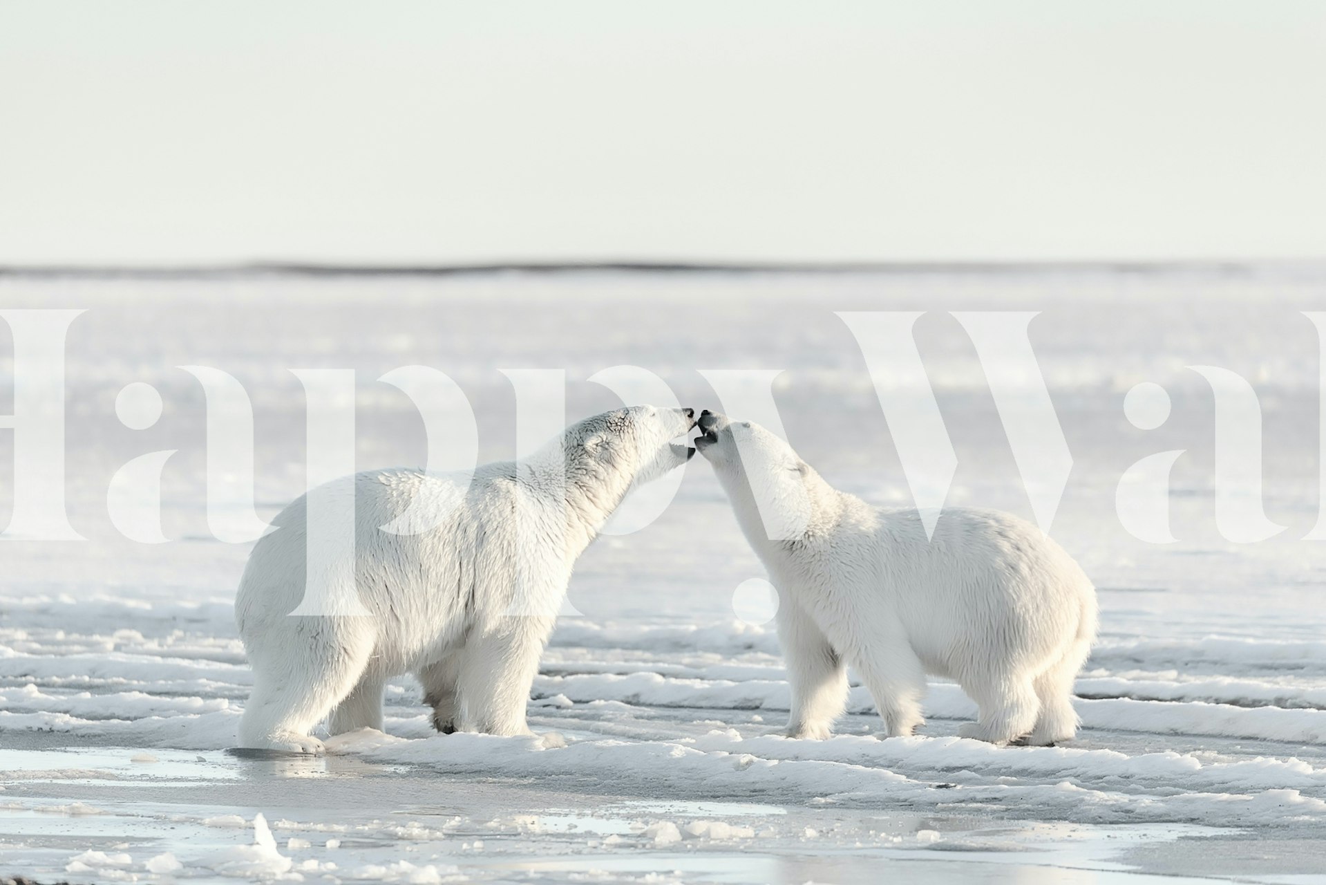 Twee ijsberen die elkaars neus aanraken in een muurschildering in een Arctisch landschap