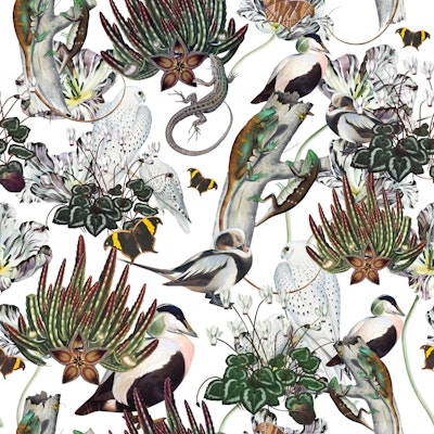 Pattern