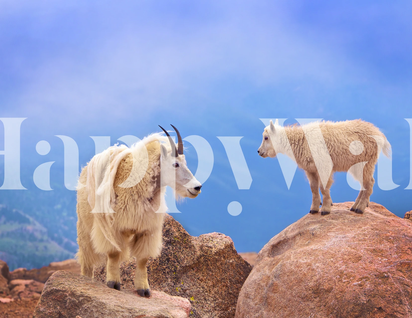 A Mothers Smile tapetti huoneessa