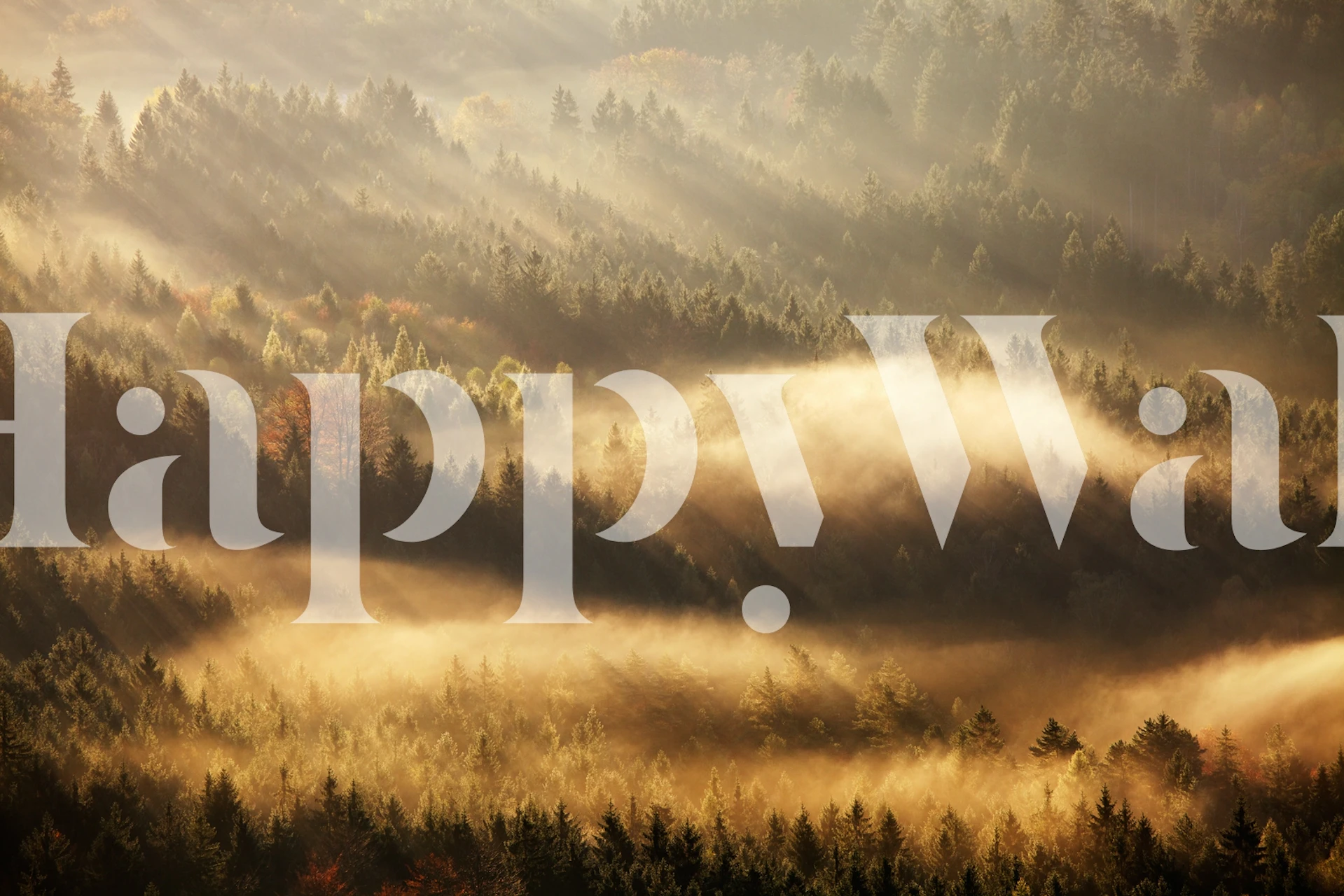 Autumn landscape with mist and sunlight over forests wallpaper