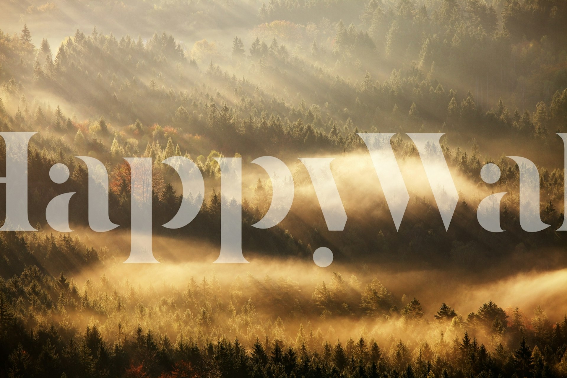 Autumn landscape with mist and sunlight over forests wallpaper