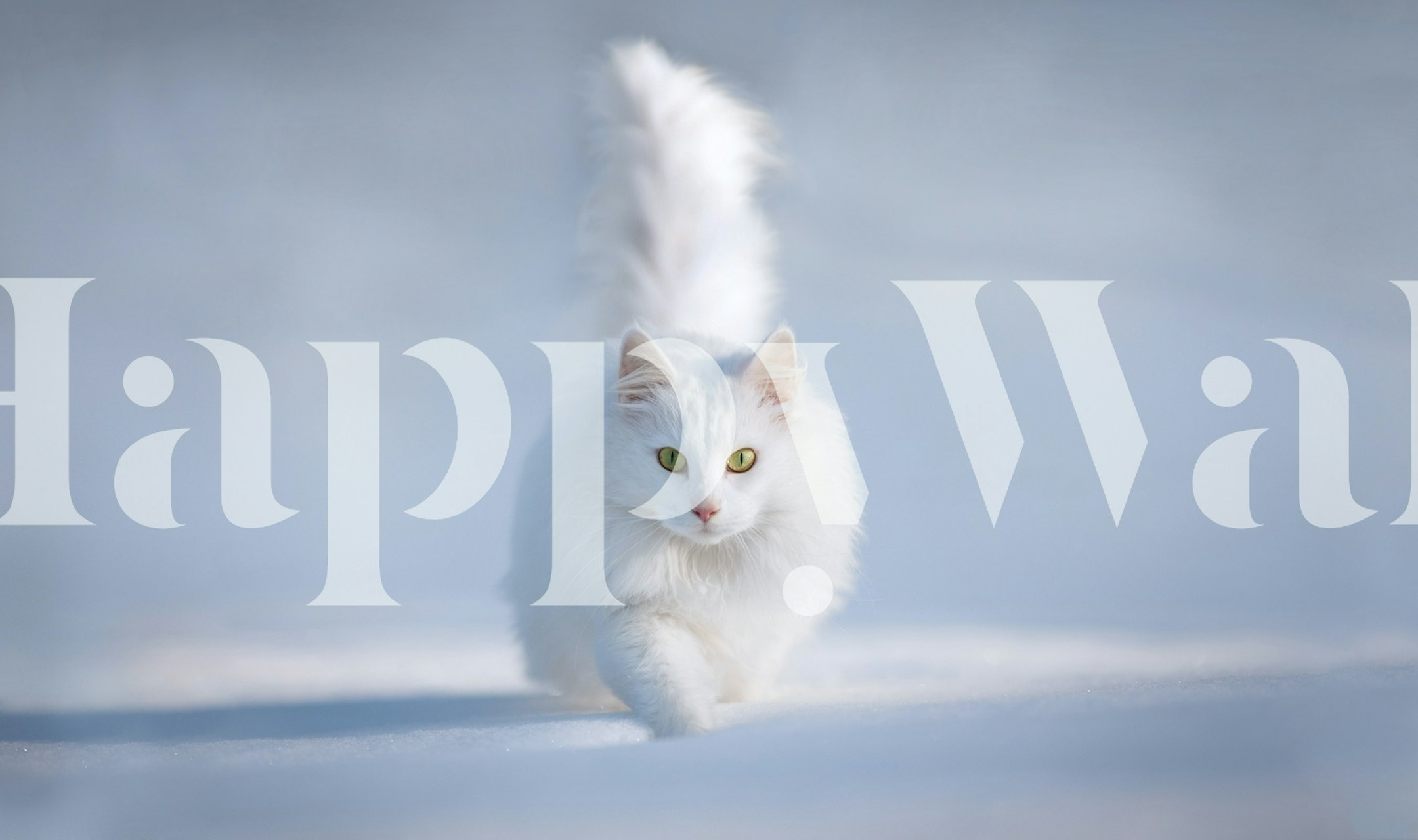 White cat with intense yellow eyes on a serene background wall mural