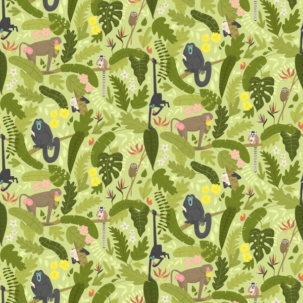 Monkeys & Lemurs in the Jungle