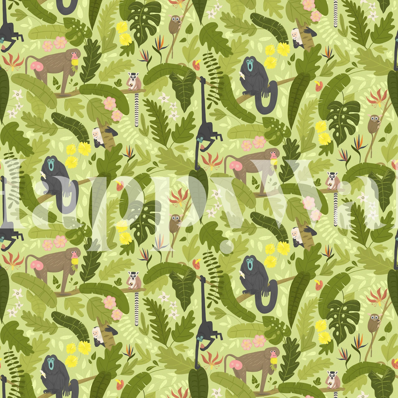 Monkeys and lemurs behangontwerp