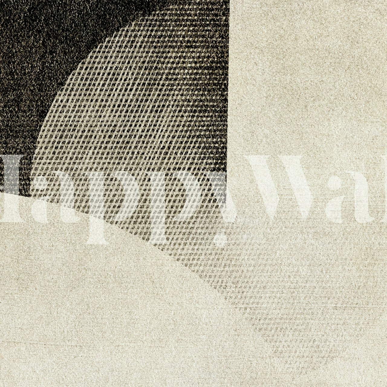 Geometric black and beige patterns on textured wallpaper