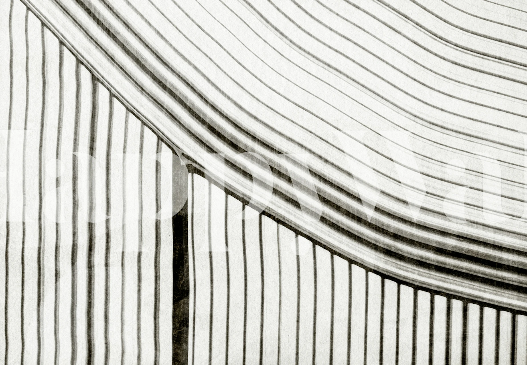 Design de papier peint Frequencia 2 dans une pièce