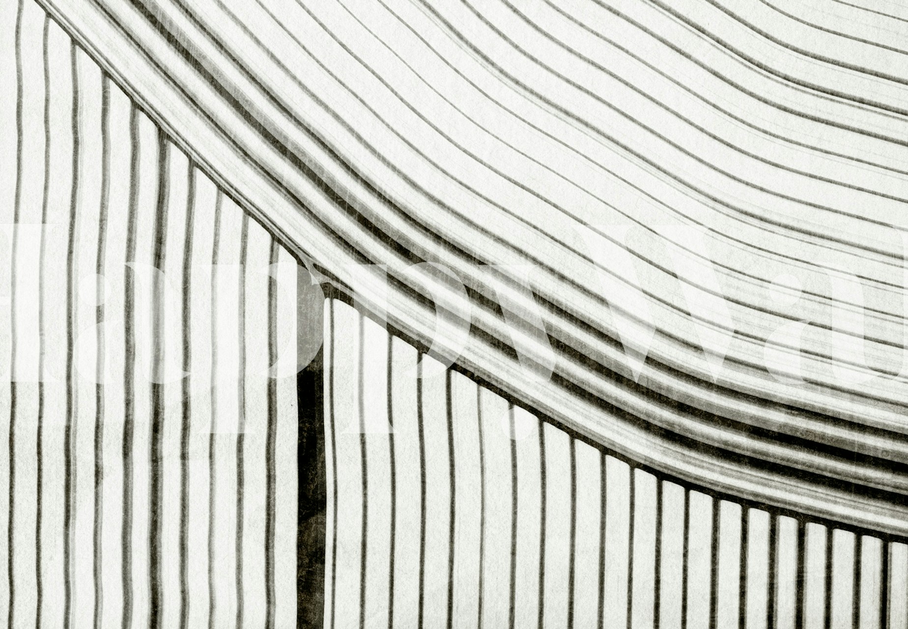 Frequencia 2 wallpaper design in a room