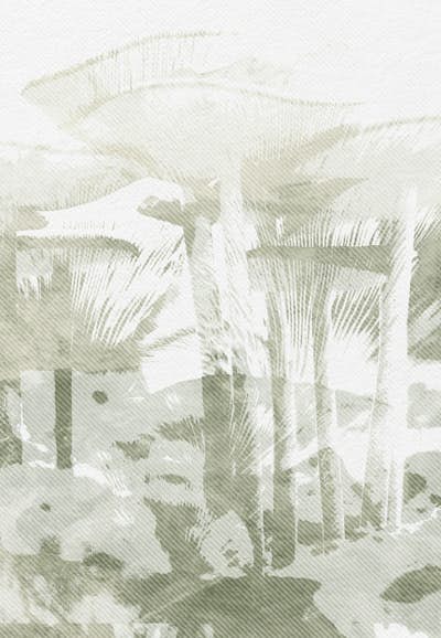 Τοιχογραφία