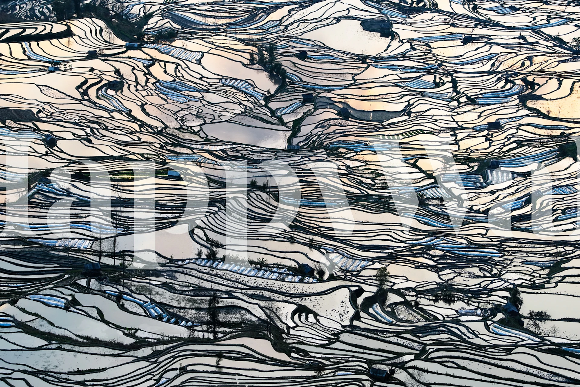 Aerial-inspired wall mural with abstract earthy patterns resembling a natural topographic landscape