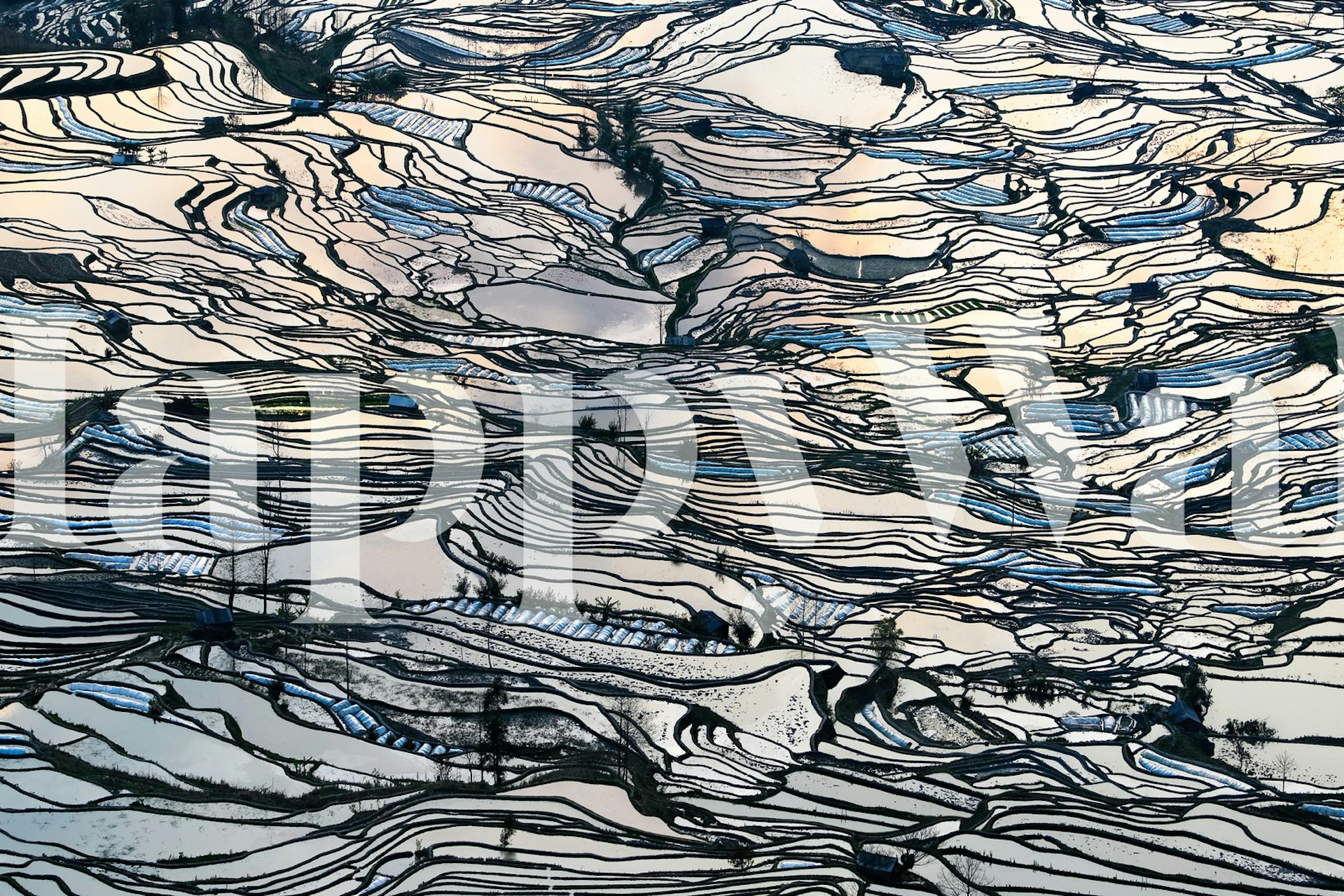 Aerial-inspired wall mural with abstract earthy patterns resembling a natural topographic landscape