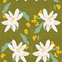 Rustic Floral Delight tapet