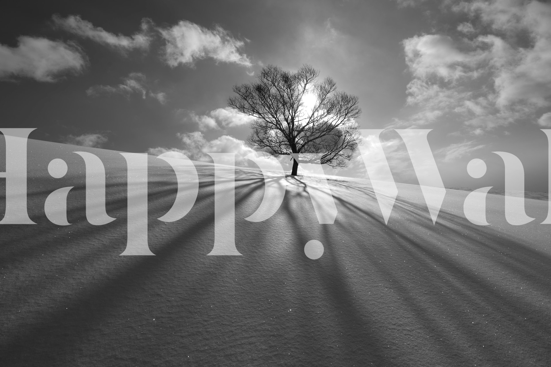 Tree shadow wallpaper in a modern room