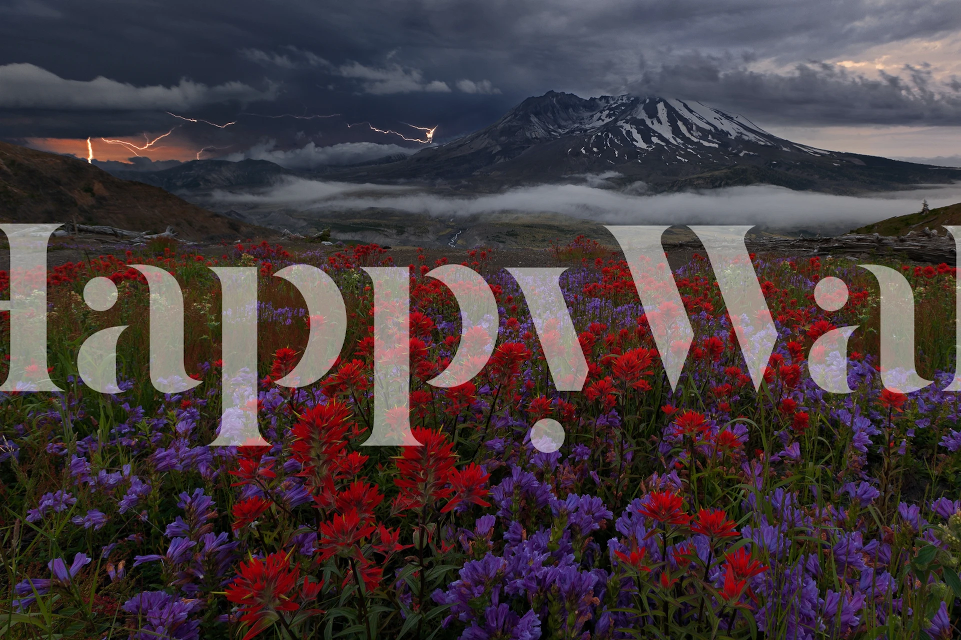 Apocalypse Now wallpaper in a room