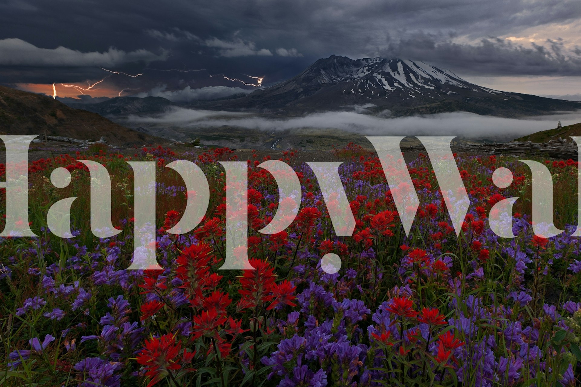 Apocalypse Now wallpaper in a room