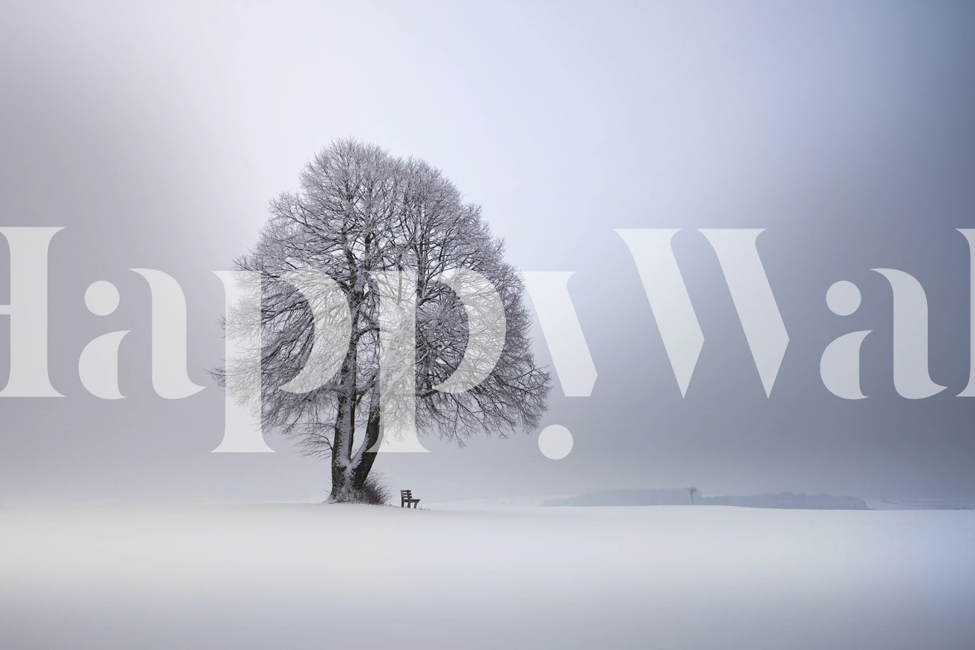 Solitary tree with frost-covered branches in a snowy landscape wall mural
