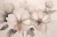 Delicate Dreams Peach Blossom Symphony