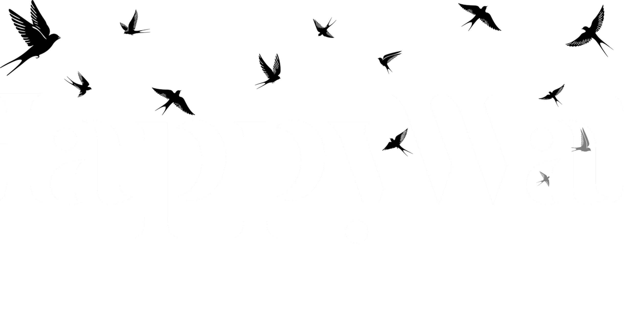 Soaring Swallows-tapetti huoneessa