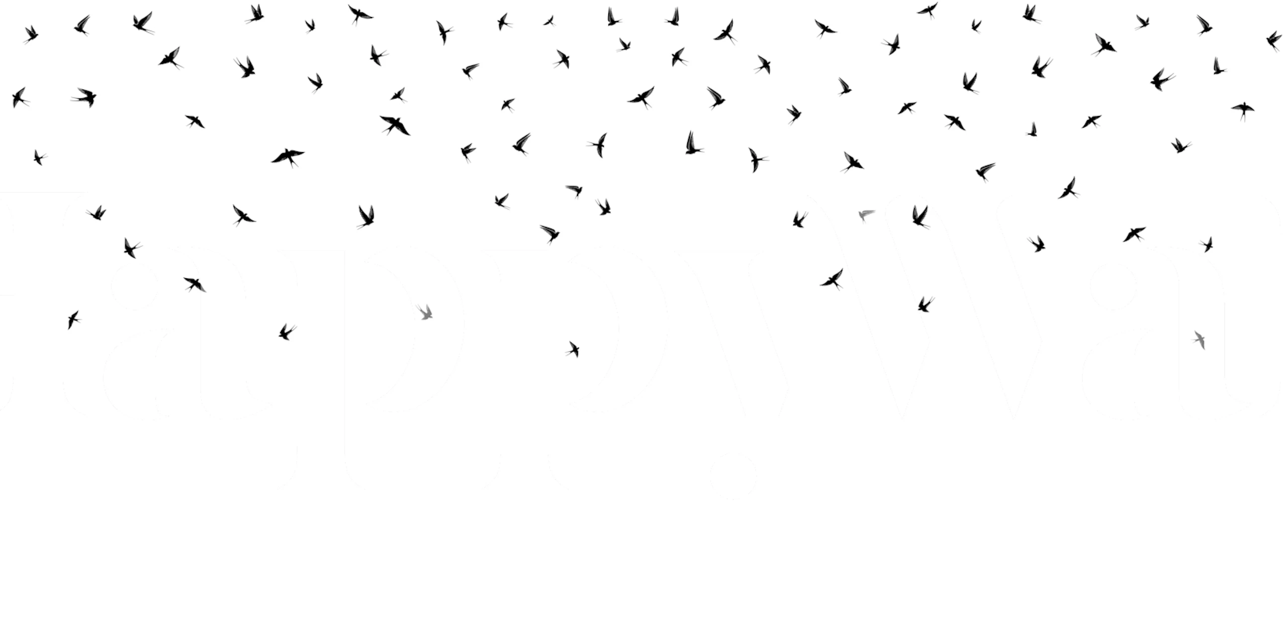 Swallows minimal version b wallpaper in a room