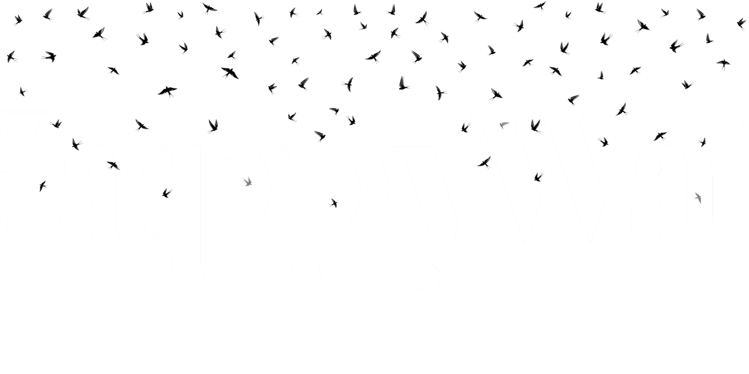 Swallows minimal version b papel de parede em um quarto