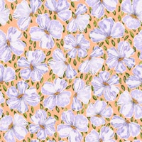 Lavender Blossom Delight behang