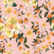 Romantic Orange Blossoms