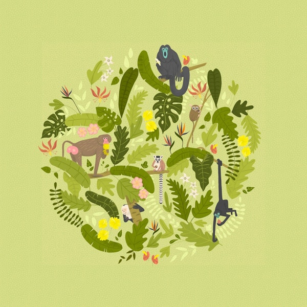 Monkeys and Lemurs in the Jungle Mural