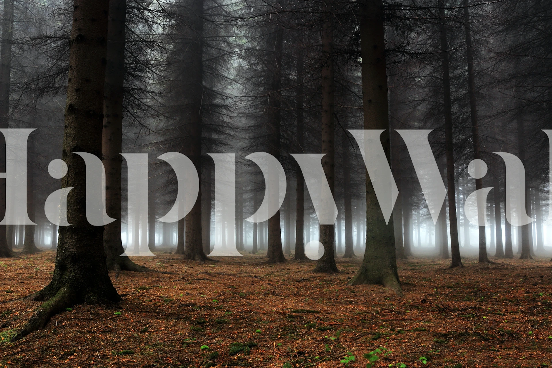 Tapeta leśna w pokoju