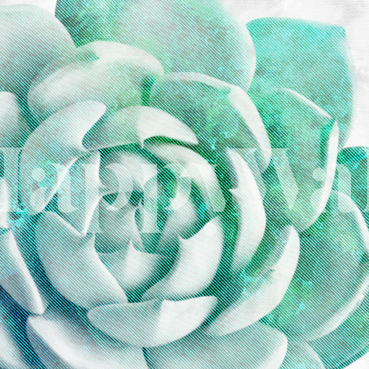 Papel de parede Rough Beauty 1 exibido em um quarto